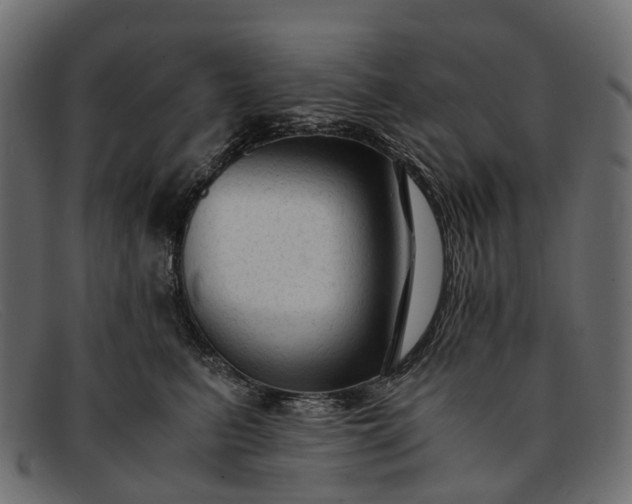 X0000091900615200709191239