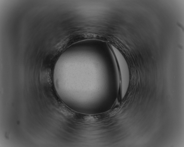 X0000091900616200709191239