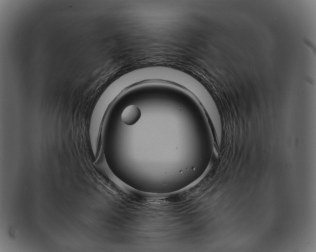 X0000091900617200709191239