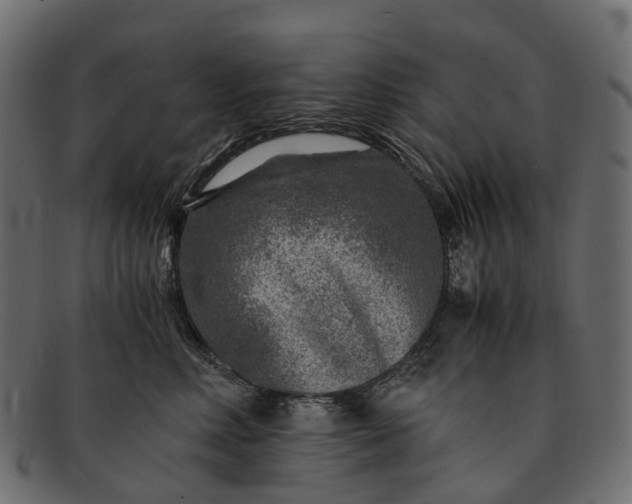 X0000091900618200709191239