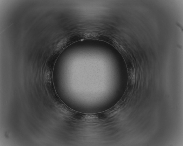 X0000091900619200709191239