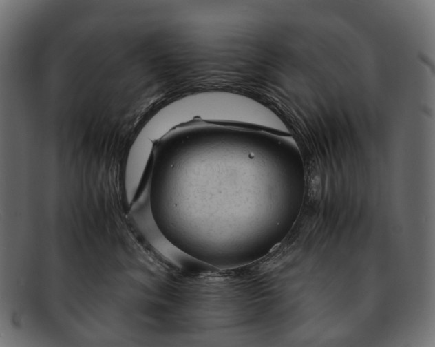 X0000091900620200709191239