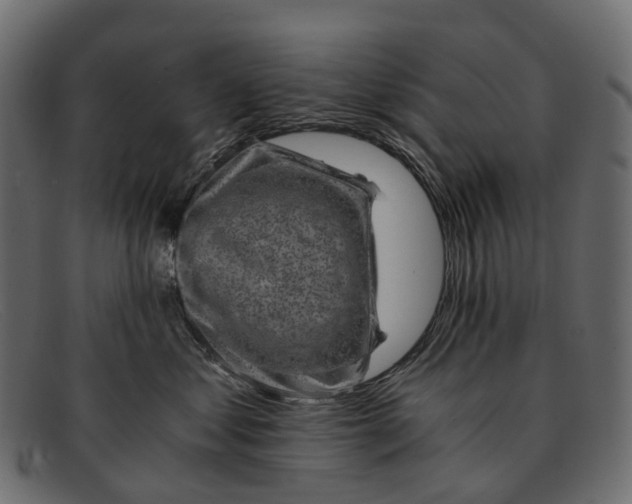 X0000091900621200709191239