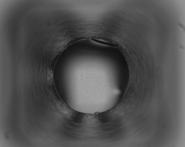 X0000091900624200709191239