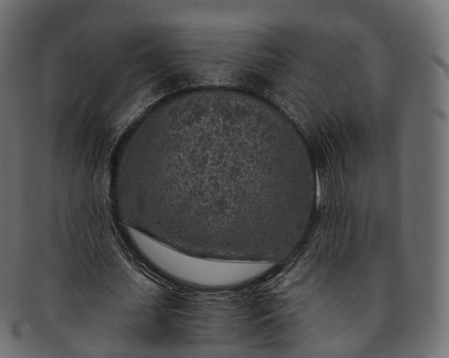 X0000091900627200709191238