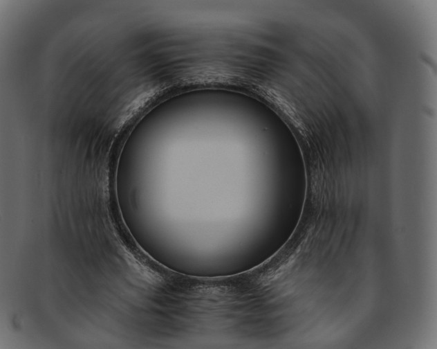 X0000091900629200709191238