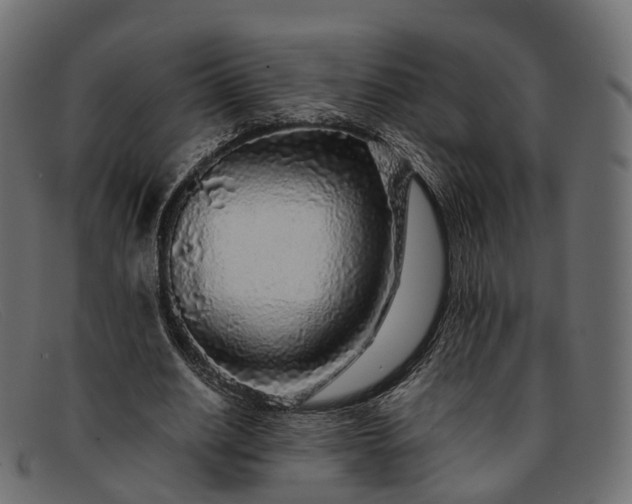 X0000091900630200709191238