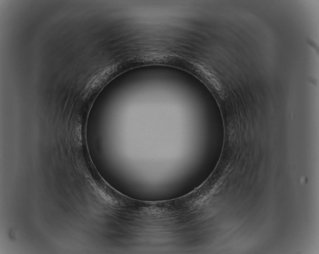 X0000091900633200709191238