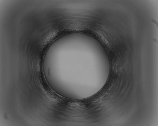 X0000091900635200709191238