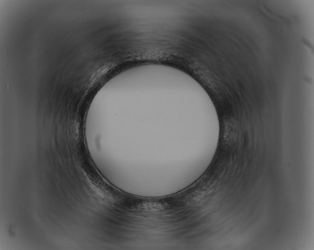 X0000091900636200709191238