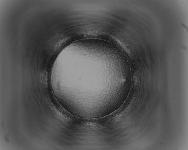 X0000091900637200709191238