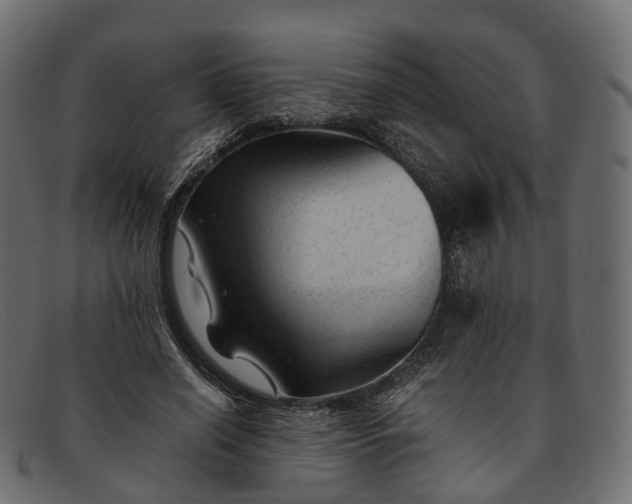 X0000091900638200709191238