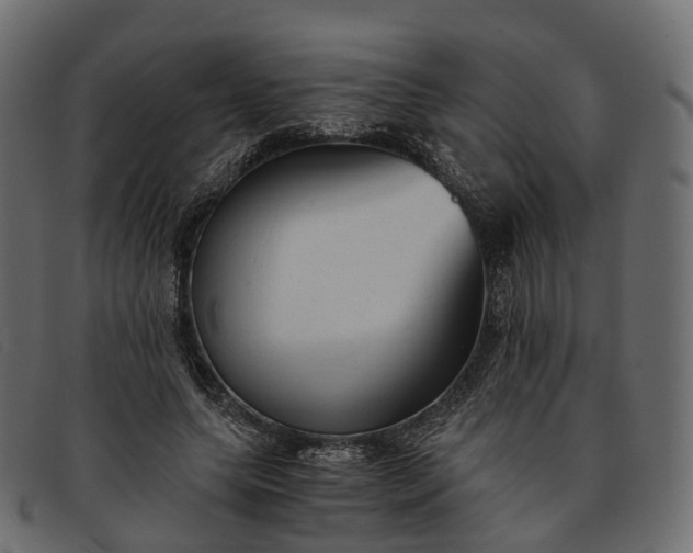 X0000091900639200709191238