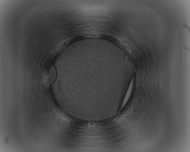 X0000091900641200709191238