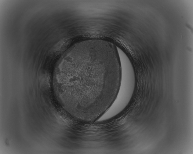 X0000091900643200709191238