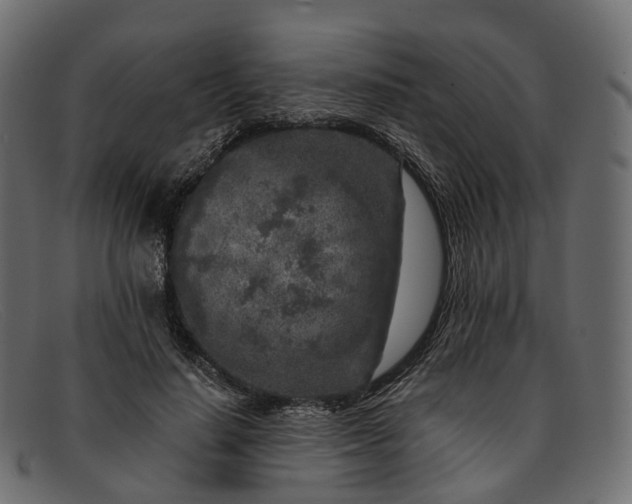 X0000091900644200709191238