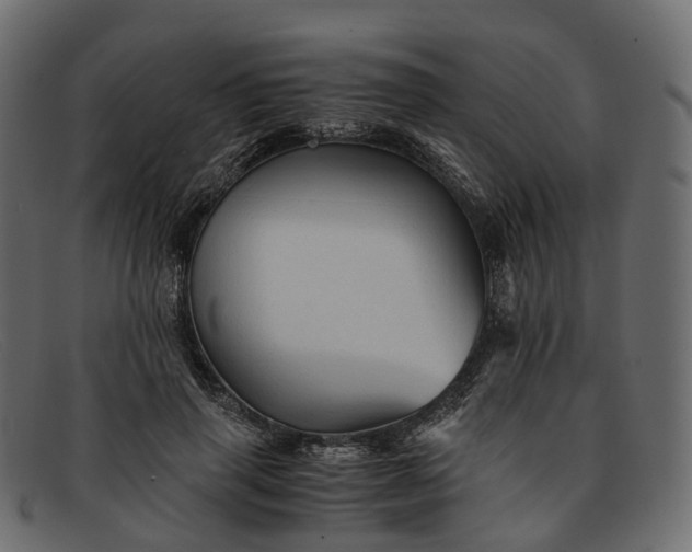 X0000091900645200709191238