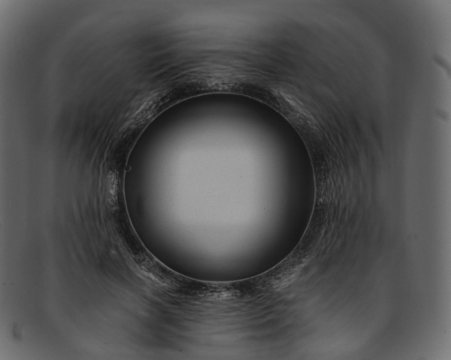 X0000091900646200709191238