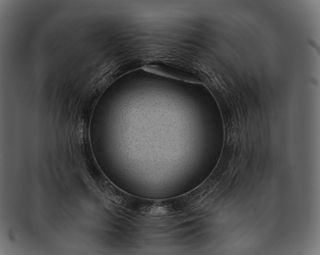 X0000091900647200709191238