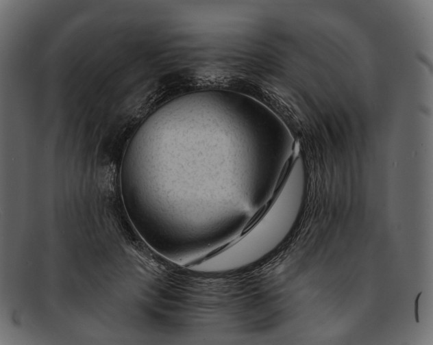 X0000091900649200709191238