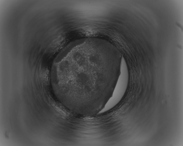 X0000091900650200709191238