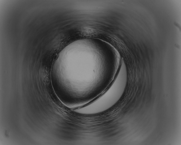 X0000091900653200709191238