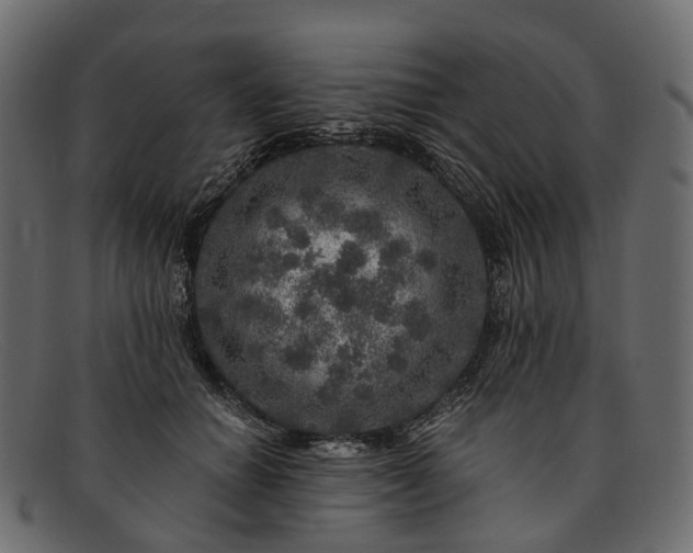 X0000091900654200709191238