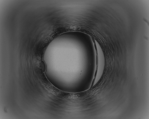 X0000091900656200709191238