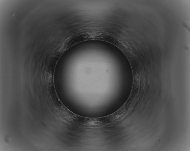 X0000091900657200709191238