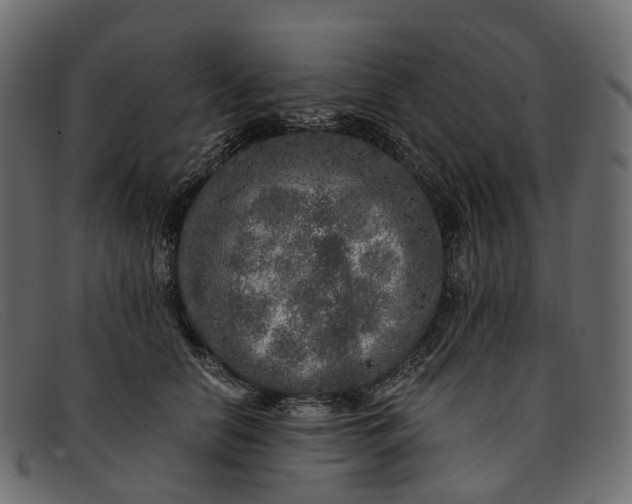 X0000091900658200709191238