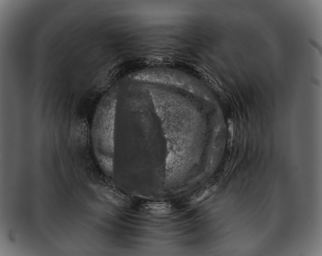 X0000091900659200709191238