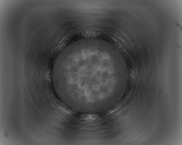 X0000091900663200709191238