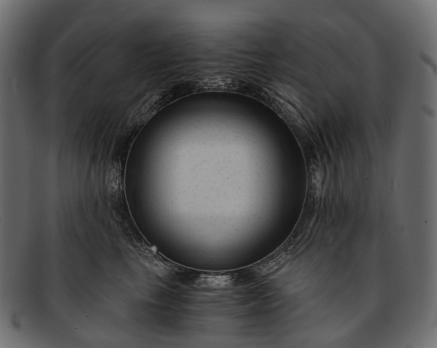 X0000091900665200709191238