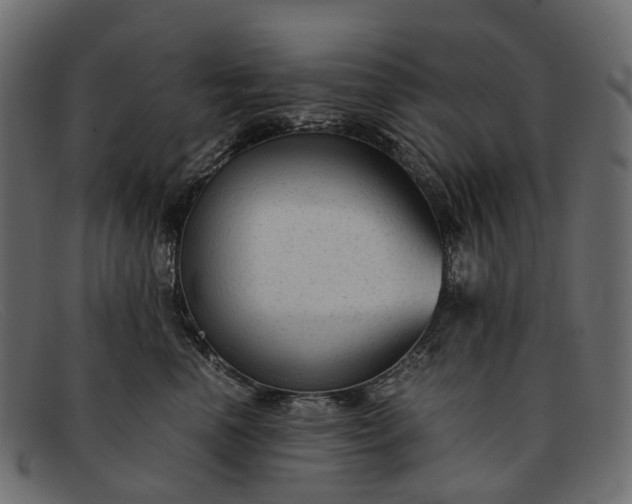 X0000091900666200709191238