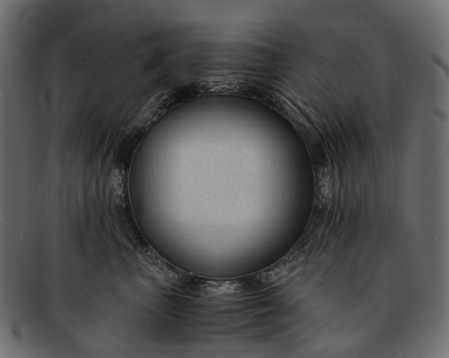 X0000091900667200709191238