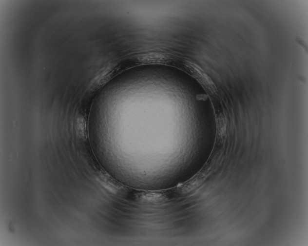 X0000091900669200709191239