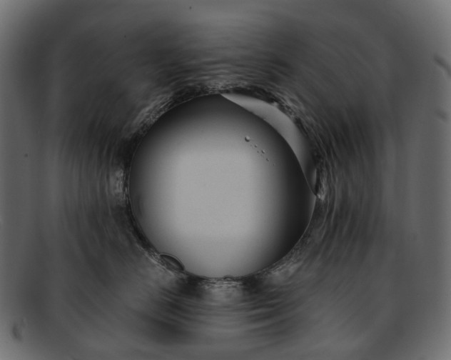 X0000091900670200709191239