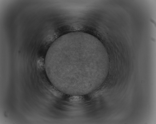 X0000091900672200709191239