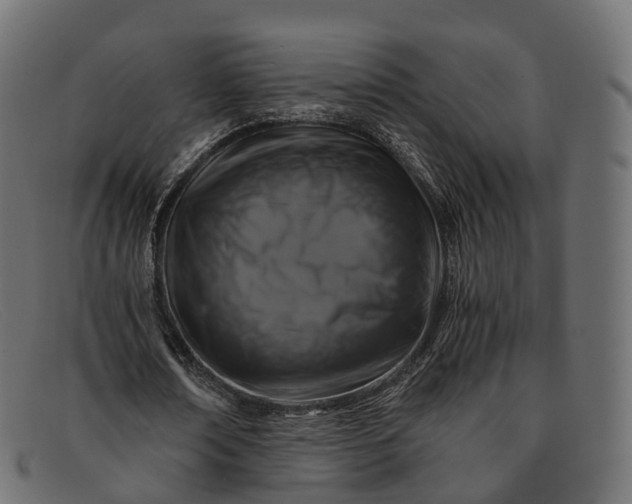 X0000091900674200709191238