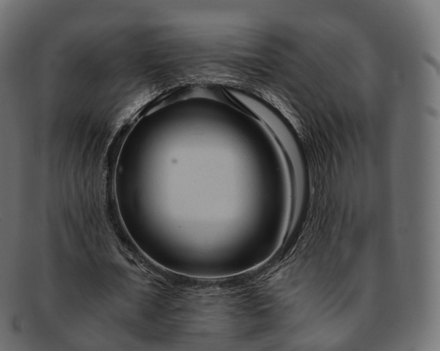 X0000091900675200709191238