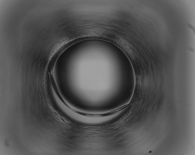 X0000091900676200709191238