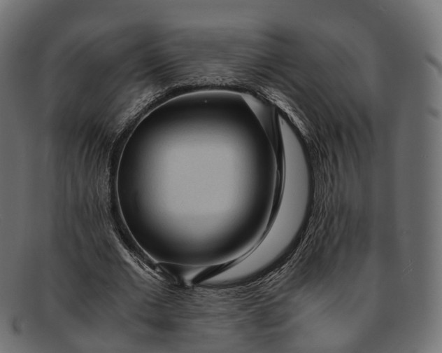 X0000091900677200709191238