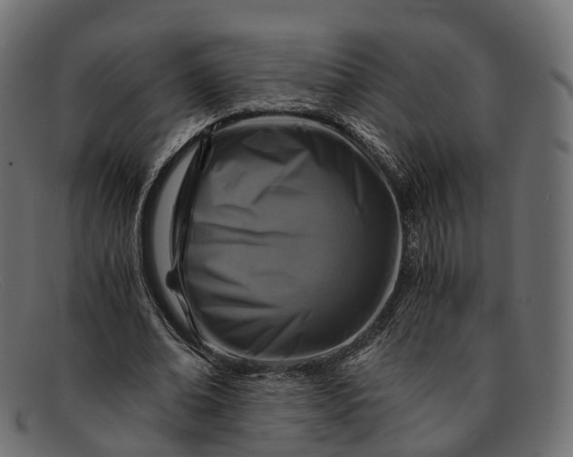 X0000091900678200709191238