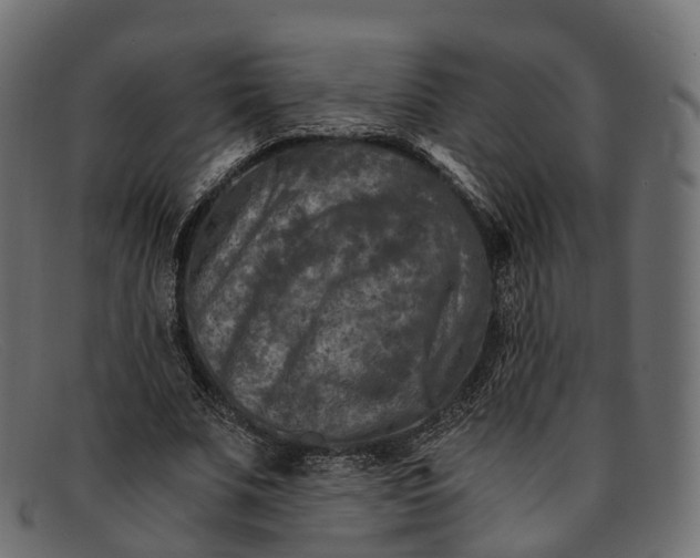 X0000091900679200709191238