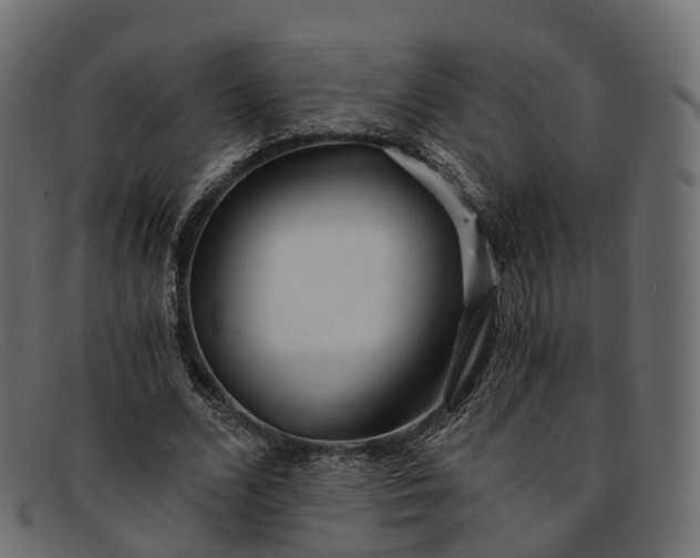 X0000091900680200709191238