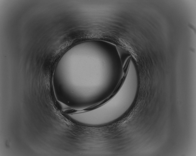 X0000091900681200709191238