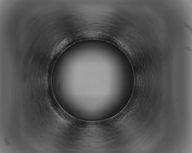 X0000091900682200709191238