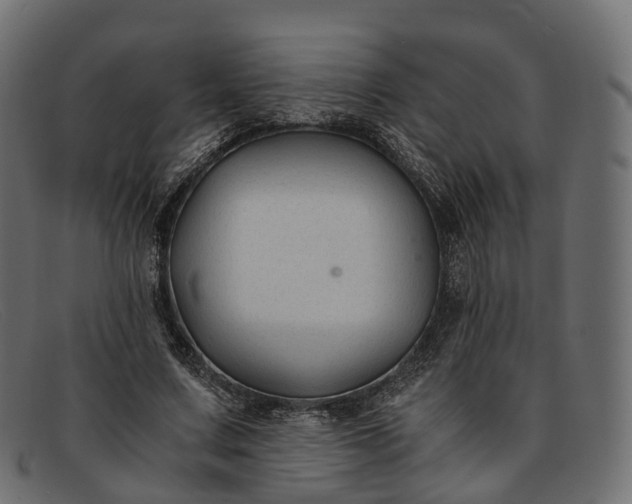 X0000091900683200709191238