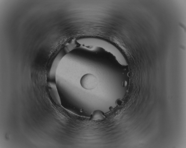 X0000091900685200709191238