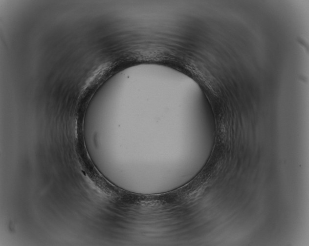 X0000091900686200709191238